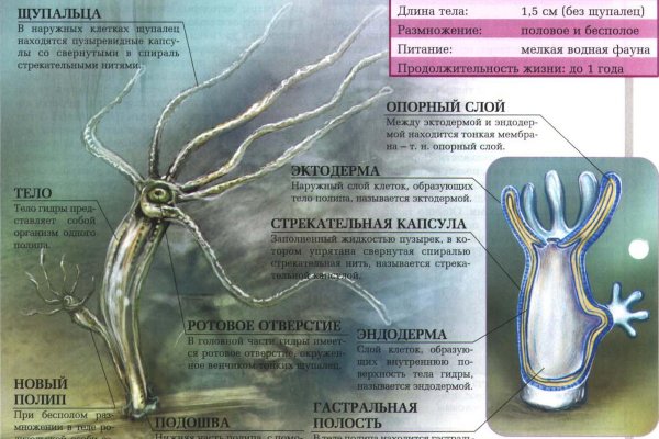 Как зарегаться на кракене