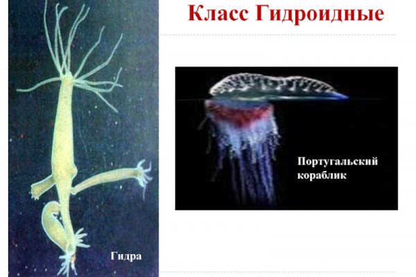 Кракен это даркнет маркетплейс