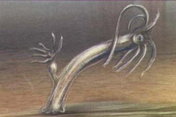 Kraken17 at сайт