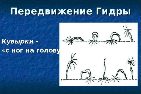 Кракен адрес даркнет