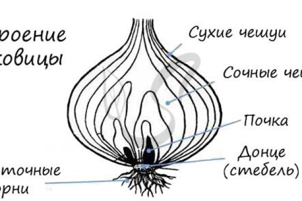 Услуги даркнета