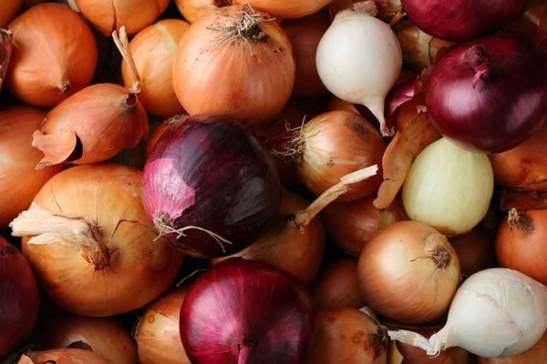 Kraken istand onion