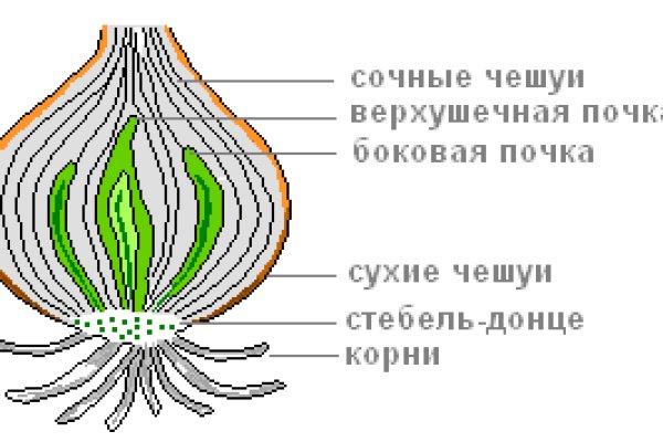Вход на кракен
