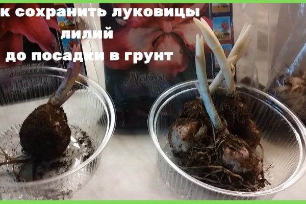 2krn cc официальный